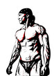 bodybulider3