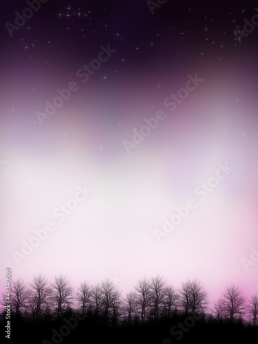Illustration: Paysage de nuit aurore boréale Paysage de nuit aurore boréale