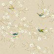 Birds in the garden