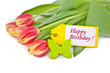 Pink Tulips for a happy Birthday