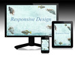 Responsive design, scalable websites