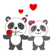 illustration of a pair of panda