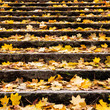 treppenstufen mit herbstblättern