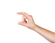 Female hand