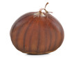 Chestnut close up isolated on white background