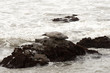 Cambria coast, California