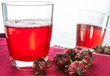 Hibiscus tea3