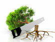 the green tree and the saw