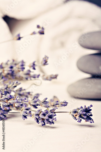 Photo: Spa theme Spa theme