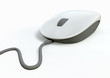 Illustration: Computer Mouse Front View Computer Mouse Front View