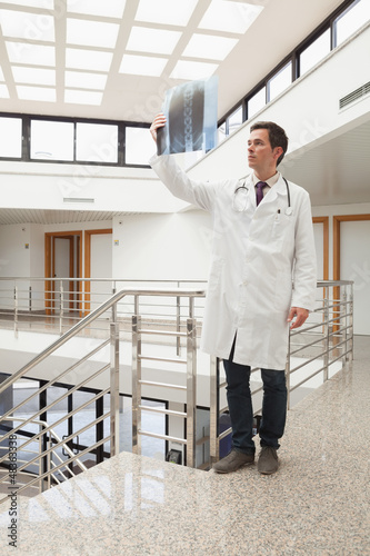 Photo: Doctor examining x-ray Doctor examining x-ray