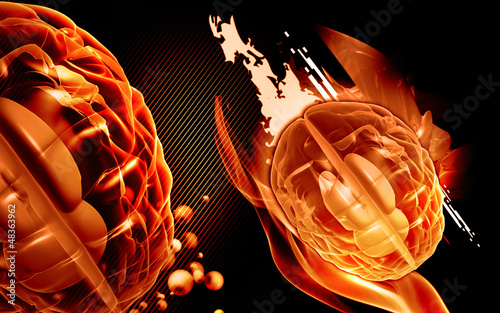 Illustration: Brain Brain