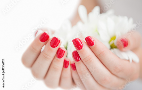Photo: Manicured hands holding flowers Manicured hands holding flowers
