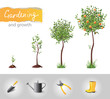 growing tree