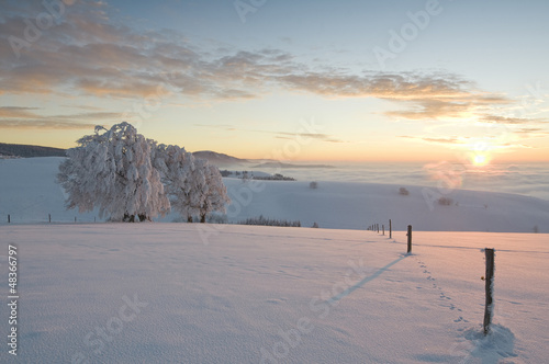 Photo: Sonnenuntergang Sonnenuntergang