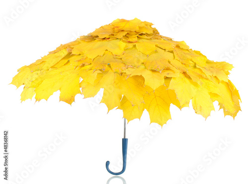 Photo: maple leaves umbrella isolated on white maple leaves umbrella isolated on white