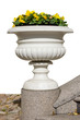 Photo: Marble vase with yellow pansies Marble vase with yellow pansies