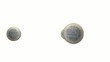 Rolling coins of euro
