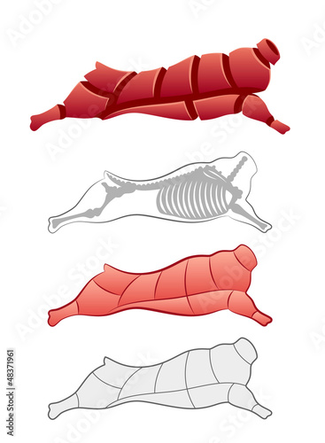 Vector: Carcass Carcass