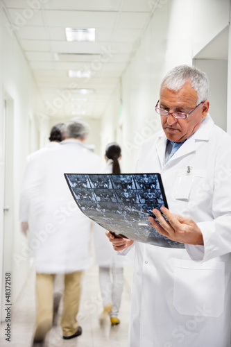 Photo: Senior Radiologist Reviewing X-ray Senior Radiologist Reviewing X-ray