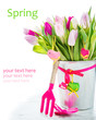 Photo: Spring tulips Spring tulips