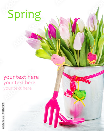 Photo: Spring tulips Spring tulips