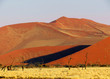 Kalahari Desert