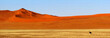 Panorama Namib Desert