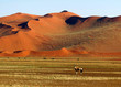 Kalahari Desert