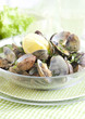 cozze