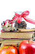 Sammlung alter Rezepte