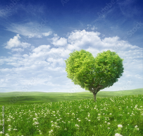 Tree in the shape of heart, valentines day background,