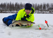 Photo: Happy angler with winter pike trophy fish Happy angler with winter pike trophy fish