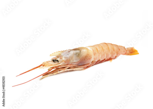 Photo: Raw shrimp isolated Raw shrimp isolated