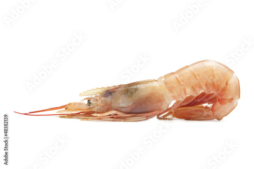 Photo: Raw shrimp isolated Raw shrimp isolated