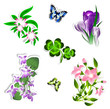 Flower Collection