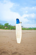 surfboard