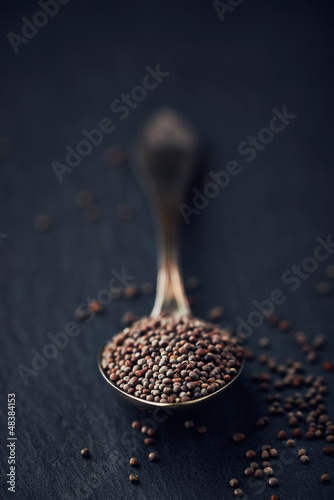 Photo: Black mustard seeds on a spoon Black mustard seeds on a spoon
