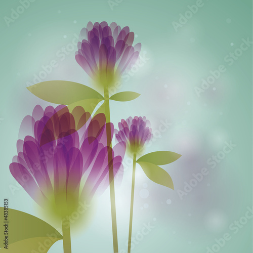 Vector: Violet clovers / Floral square card Violet clovers / Floral square card