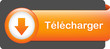 Bouton Web "TELECHARGER" (download télécharger téléchargement)