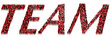 Team word made from business people
