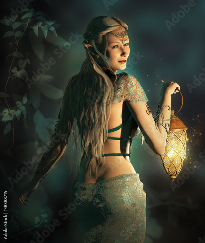 Illustration: Follow me into the Woodland Realm Follow me into the Woodland Realm
