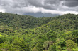 Daintree National Park, Queensland