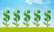 Money Garden