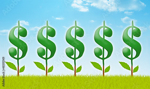 Illustration: Money Garden Money Garden