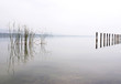 Foggy day at Lake Balaton,Hungary