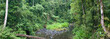 Henrietta Creek, near Innisfail, North Queensland