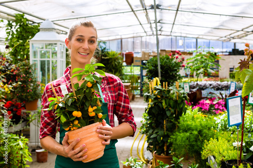 Photo: gardener in her green house flower shop gardener in her green house flower shop