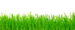 green grass