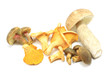 Forest  mushrooms